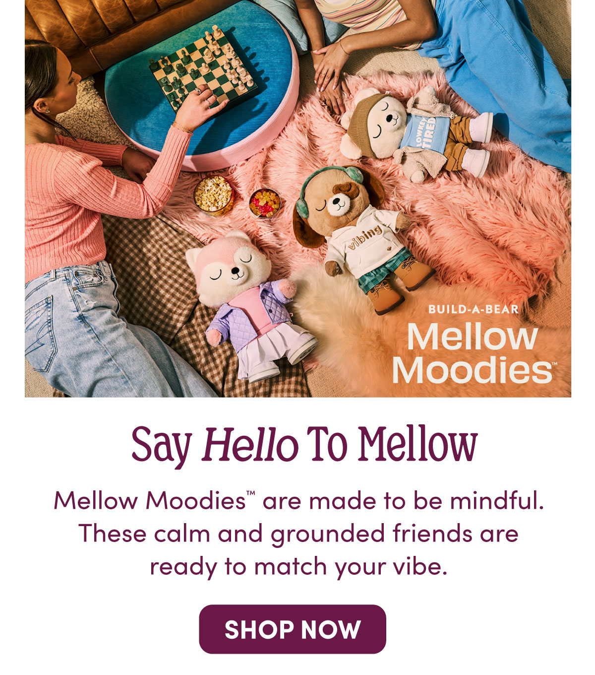 BUILD-A-BEAR Mellow Moodies™ graphic showing three calming plush characters designed for mindfulness and relaxation. At the top, people relax on blankets around a coffee table while Mellow Moodies plush lounge nearby. Willow, a pink fox plush with closed eyes, wears a purple quilted jacket and pink sweater. Huck, a cream-colored bear plush with closed eyes, wears a tan beanie, blue shirt, and cozy jacket while holding a cup. Mateo, a brown dog plush with a patch over one eye and closed eyes, wears green earmuffs and a cream hoodie with the word vibing. Text reads: BUILD-A-BEAR Mellow Moodies, | Say Hello To Mellow, Mellow Moodies™ are
 made to be mindful. These calm and grounded friends are ready to match your vibe., | SHOP NOW