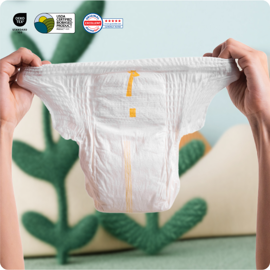   Training Pants Monthly Box
