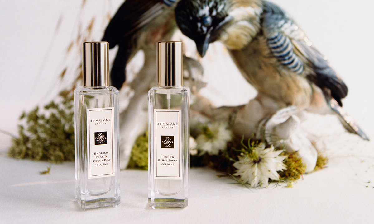 Cologne Collections