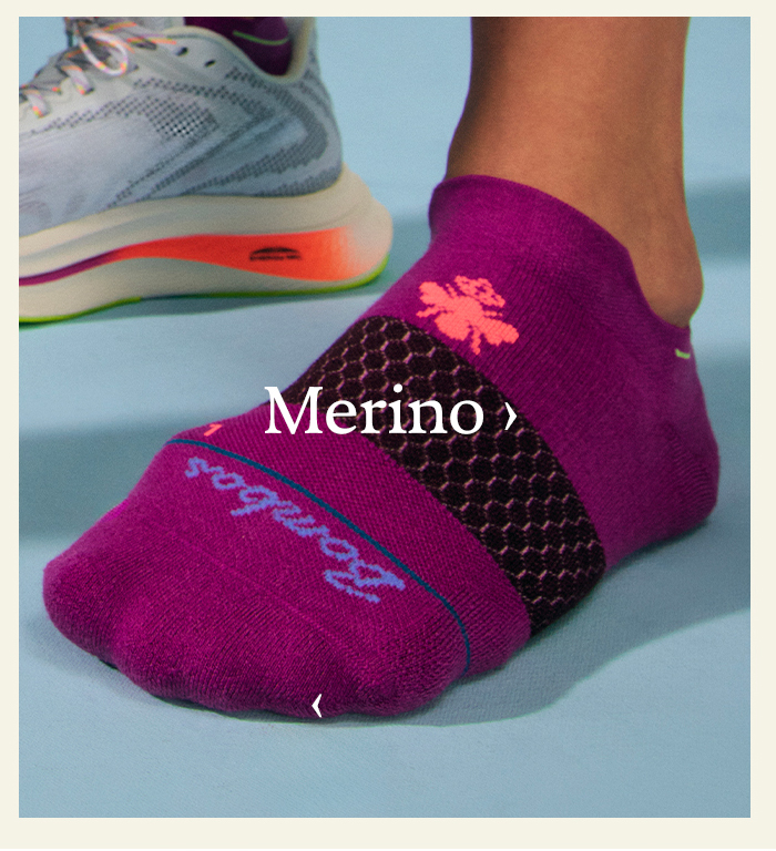 Merino >