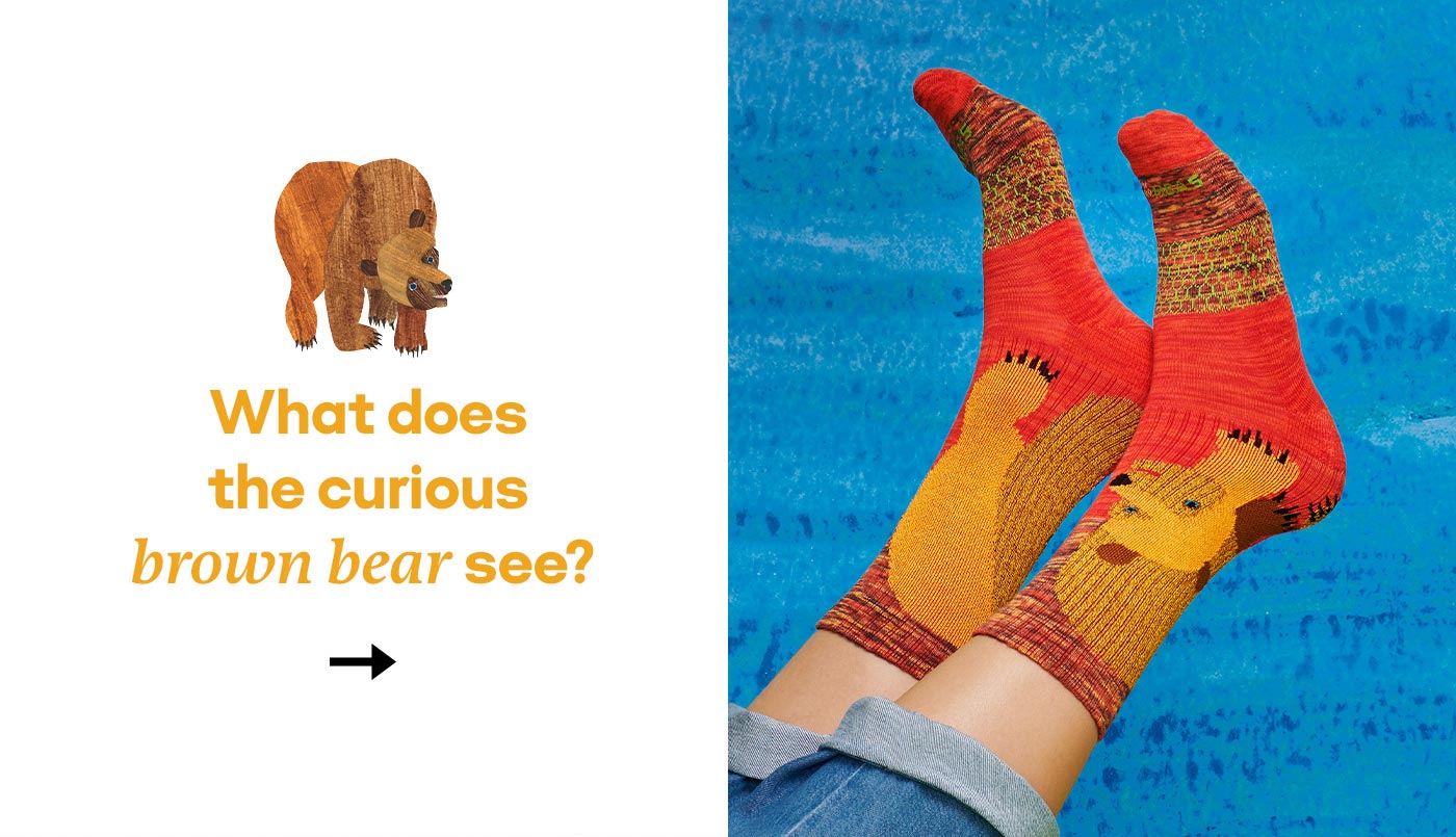 What does the curious brown bear see?