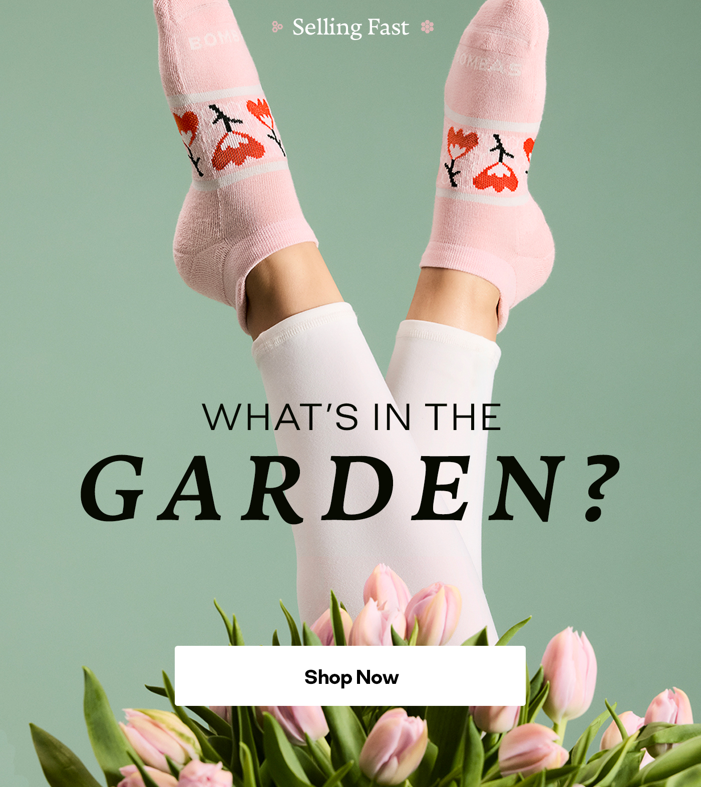 Selling Fast. WHAT'S IN THE GARDEN? Shop Now