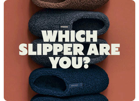 WHICH SLIPPER ARE YOU?