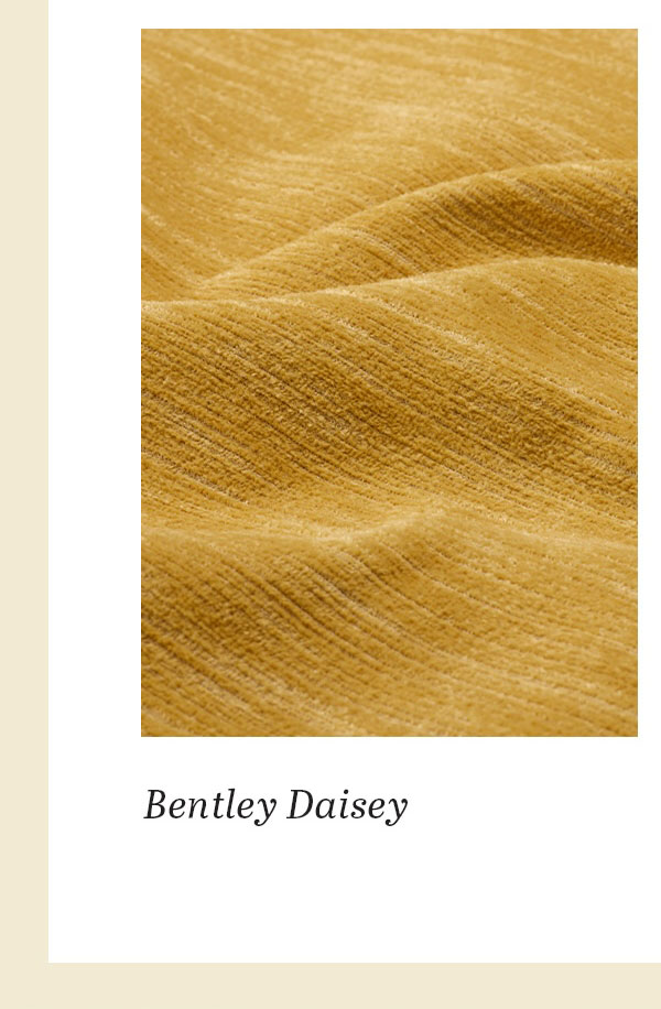 Bentley Daisey